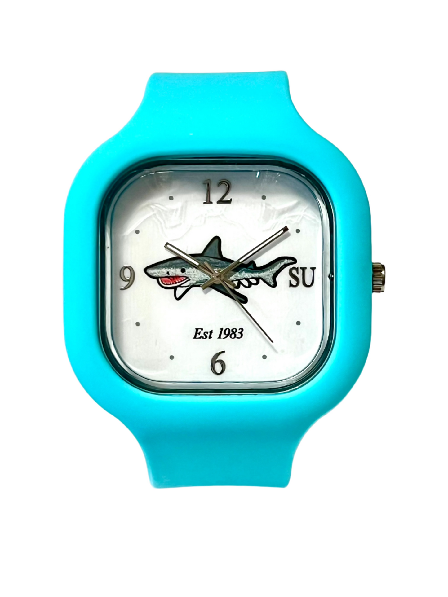 Switchup Teal