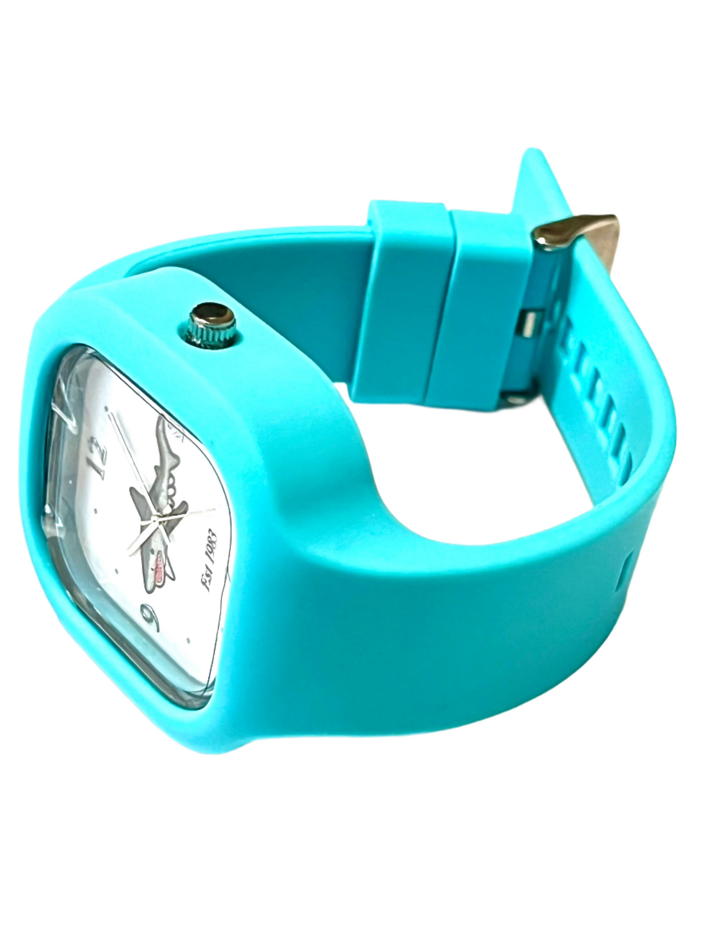 Switchup Teal