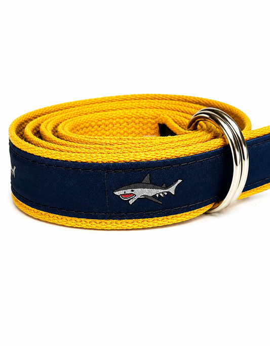Shark & Co. Heritage Belt – Golden Coast